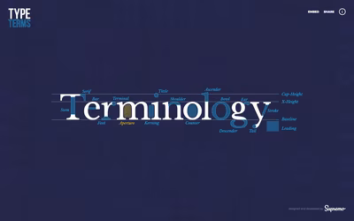 Type Terms screenshot 1