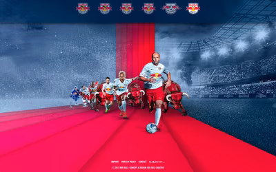 Red Bulls screenshot 3