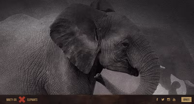 96 Elephants screenshot 1