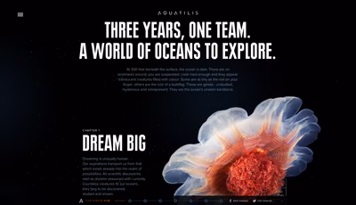 Aquatilis screenshot 2
