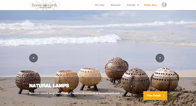 Home on Earth screenshot 1