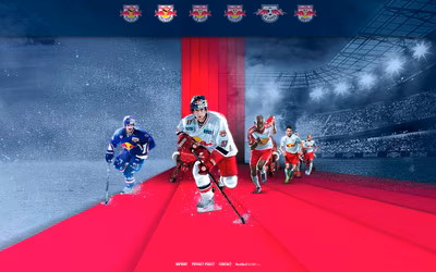 Red Bulls screenshot 5