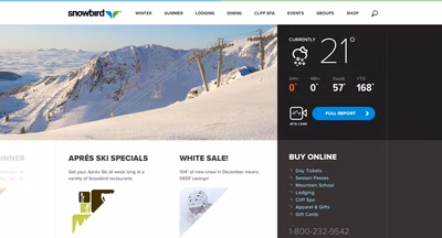 Snowbird screenshot 1