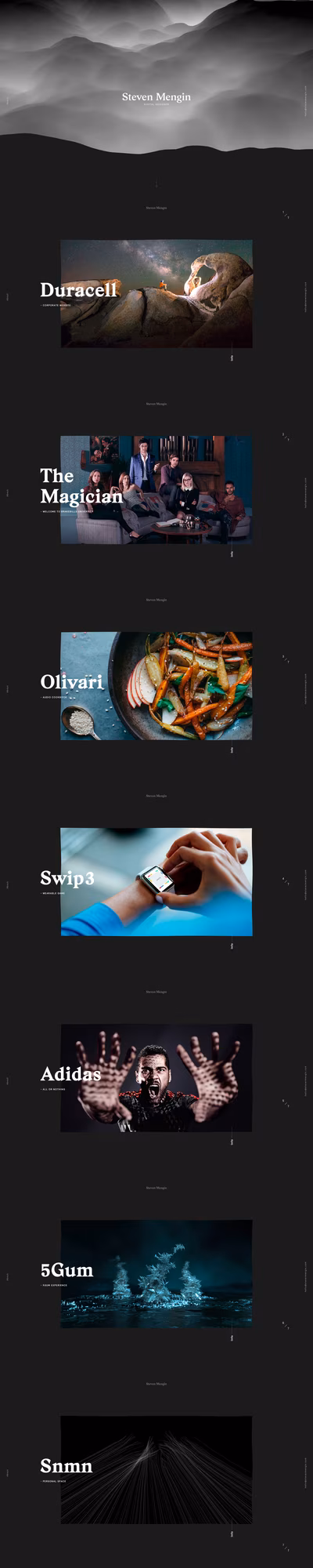 Steven Mengin screenshot 1