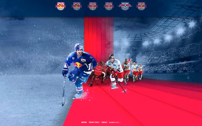 Red Bulls screenshot 6