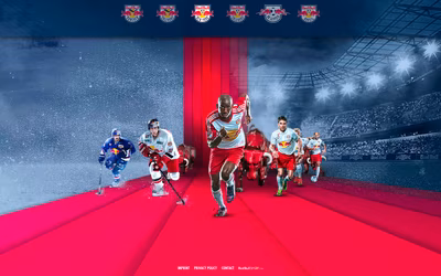Red Bulls screenshot 4
