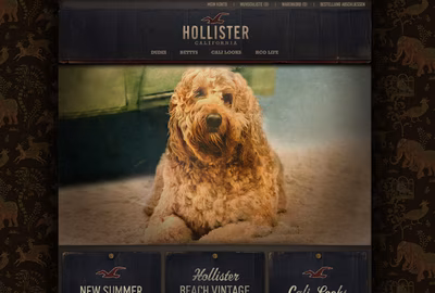 Hollister Co. screenshot 1