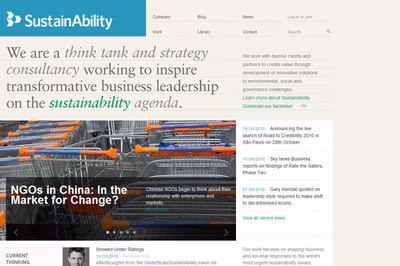 Sustain Ability screenshot 2