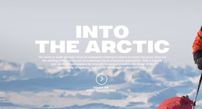 Into the Arctic screenshot 1
