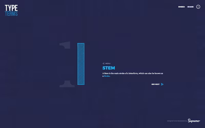 Type Terms screenshot 2