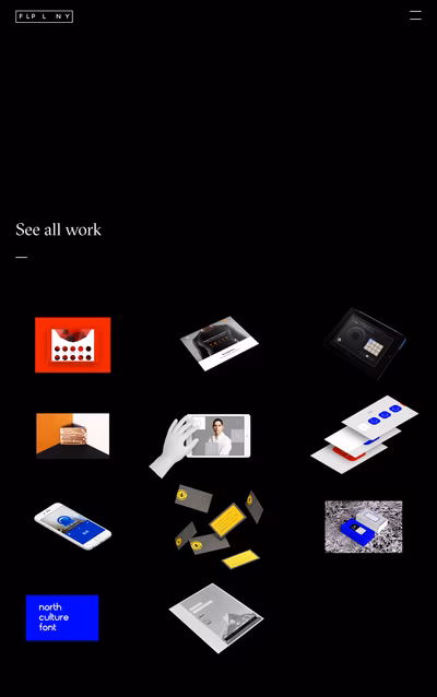 FLPLNY screenshot 4