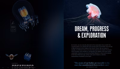 Aquatilis screenshot 9